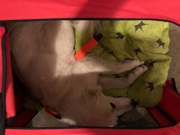 Zum Schlummern bereit