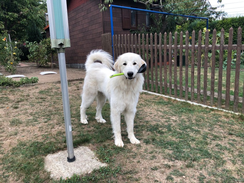 Meine Futterkelle …