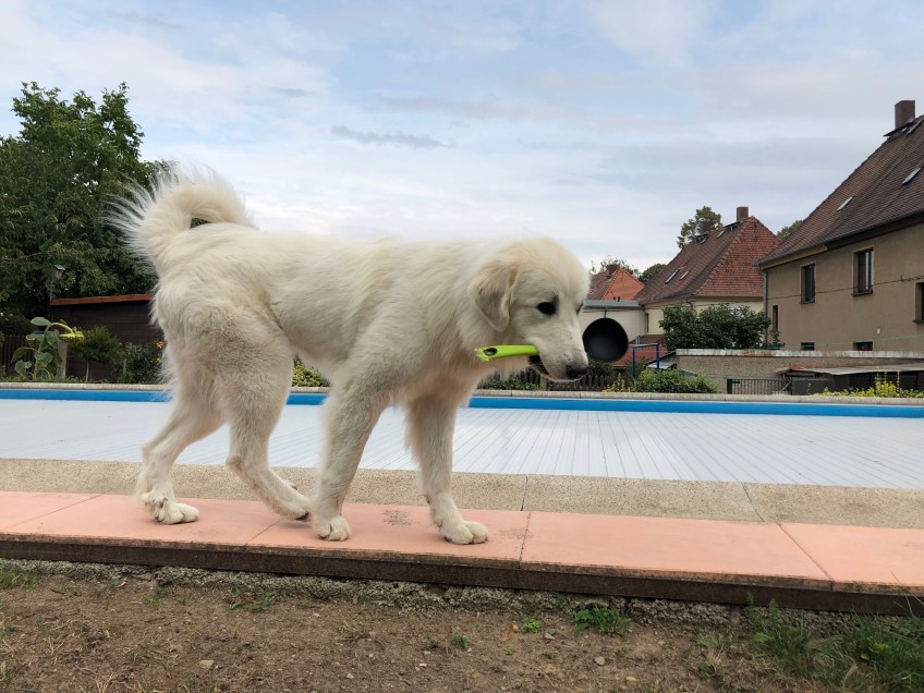 … die gehört nur mir.