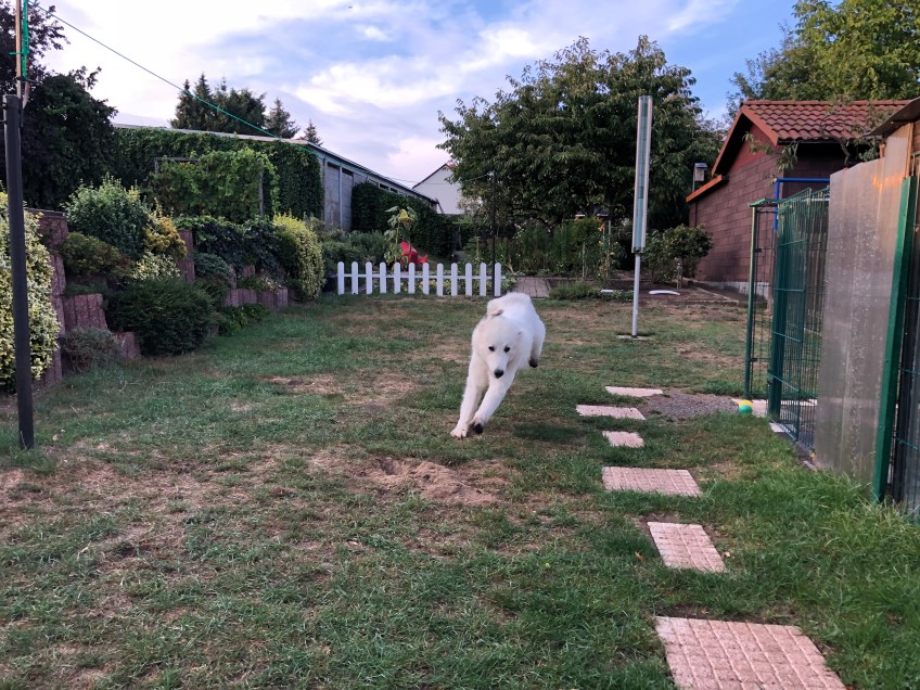 Abendspaziergang, ich komme!