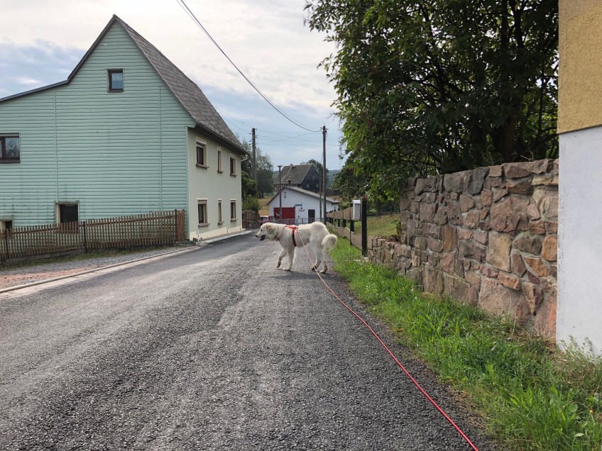 Die Bella in Kockisch