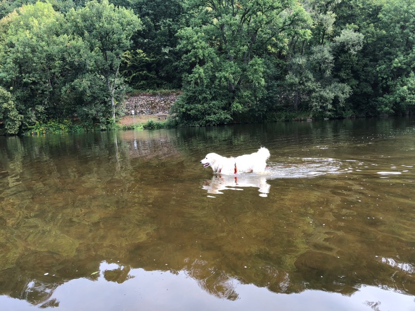 Die Bella im großen Fluß mit dem komischen Name