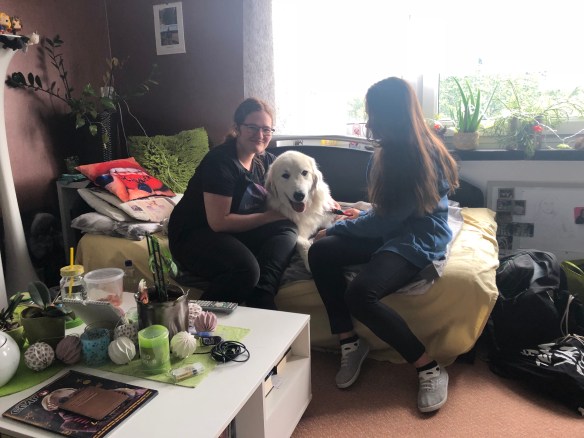 Die Bella und ihre Menschenschwestern