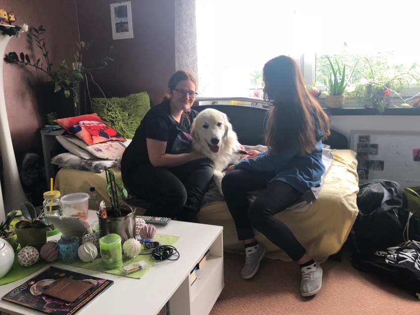 Die Bella und ihre Menschenschwestern