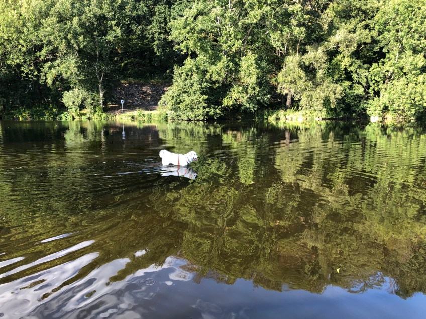 Die Bella geht baden …