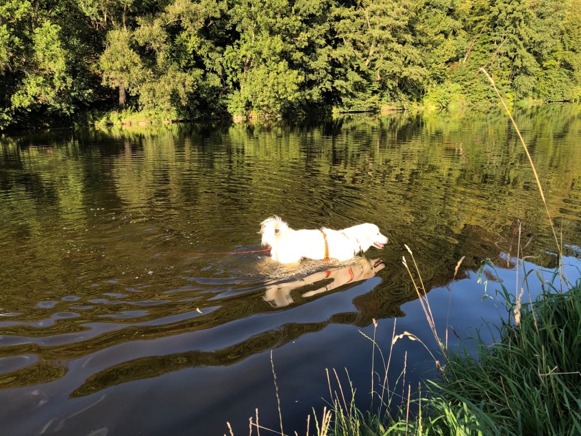…im großen Fluß mit dem komischen Name