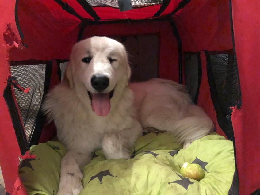 Die Bella in ihrem roten Ferienhaus …