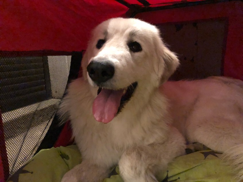 … wünscht eine Gute Nacht!