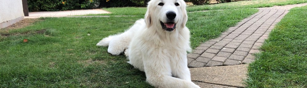 Mir entgeht nichts! Ich beobachte alles!