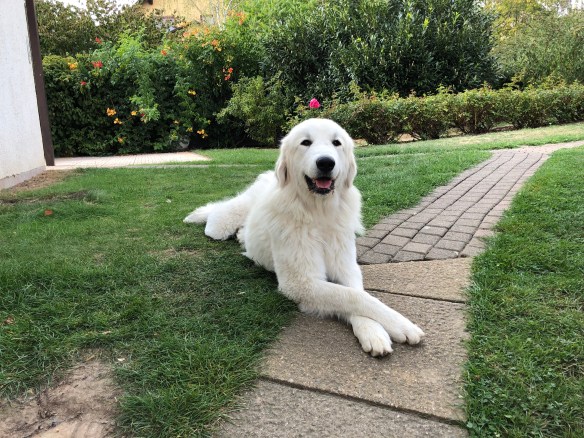 Mir entgeht nichts! Ich beobachte alles!