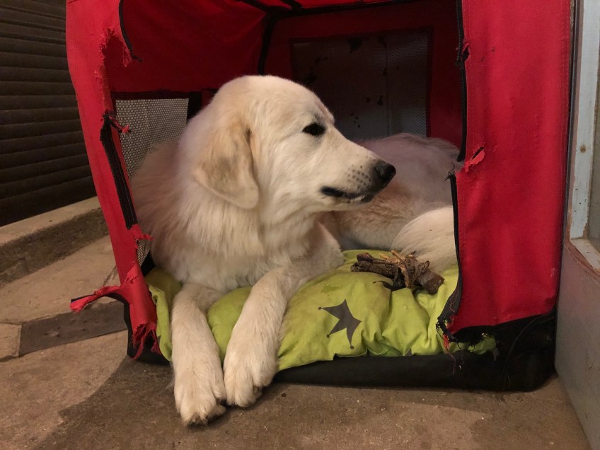 Gleich werde ich schön schlummern