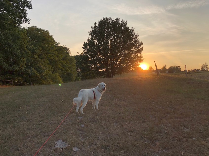 Pyri-Sonnenuntergang