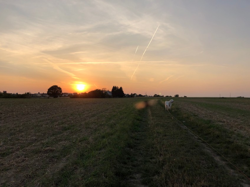 Es geht wieder nach Hause