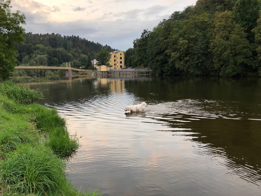 Baden an der Wackelbrücke