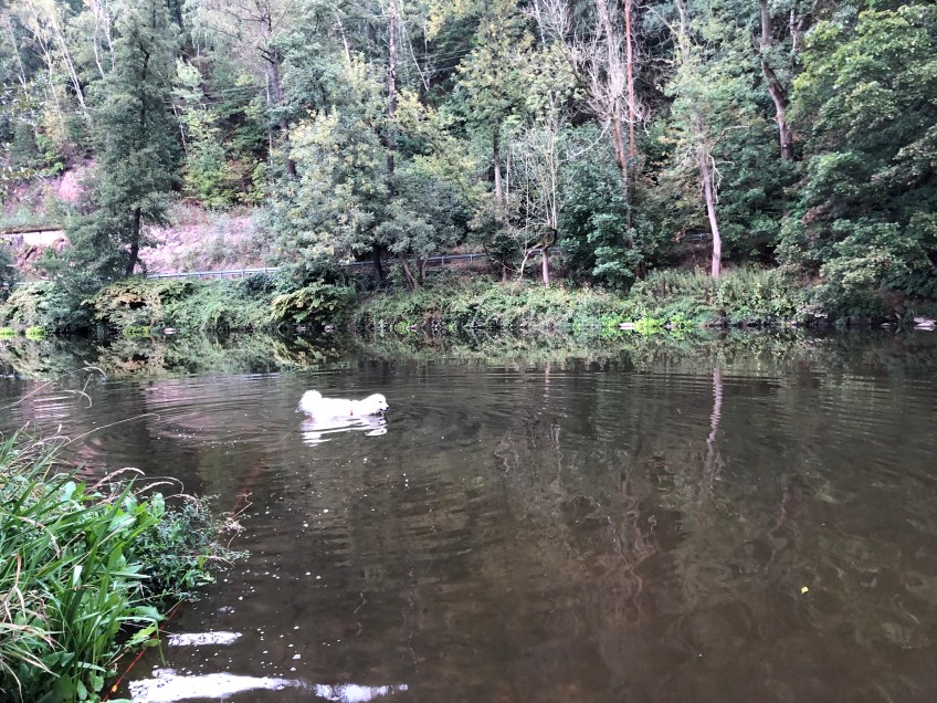 Die nächste Badestelle