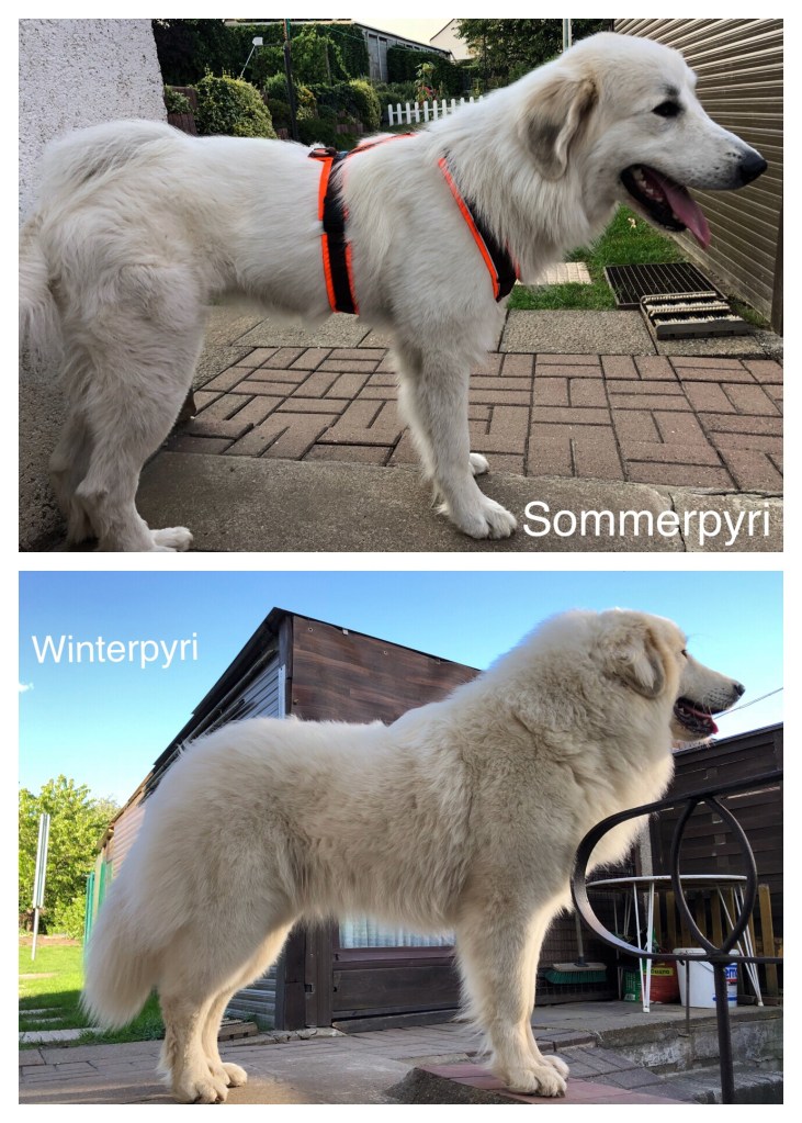 Die Bella im Sommer (oben) und im Winter (unten)