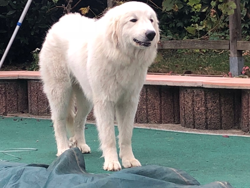 Die Bella kaut eine Haselnuß