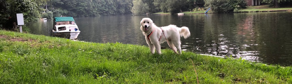 Die Bella am großen Fluß mit dem komischen Name