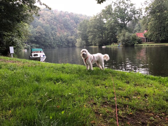 Die Bella am großen Fluß mit dem komischen Name