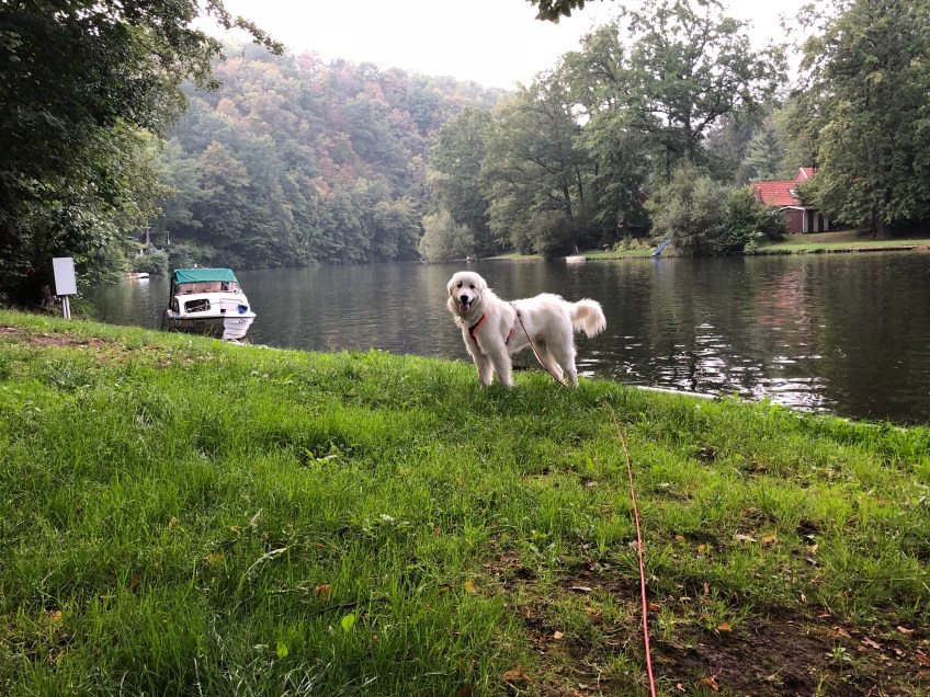 Die Bella am großen Fluß mit dem komischen Name