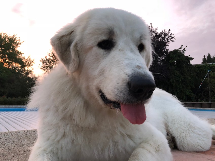 … und gehe gleich schlummern