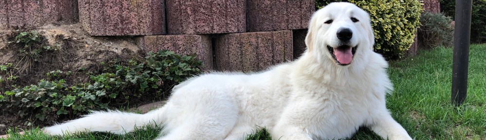 Die Pyriprinzessin …