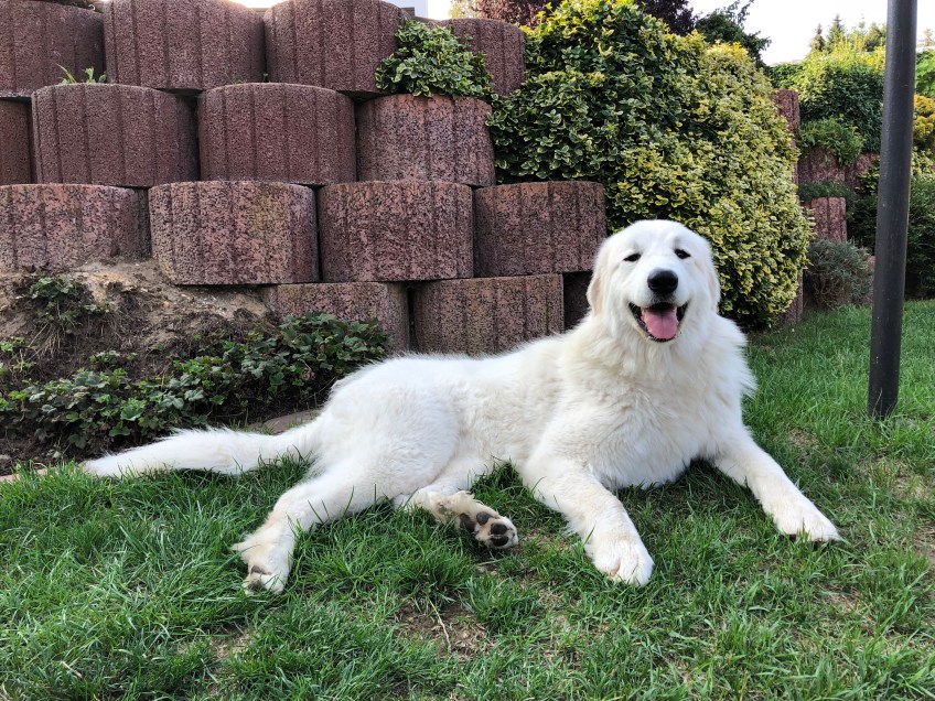 Die Pyriprinzessin …