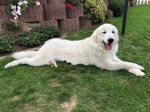 Ausruhen in meinem Garten