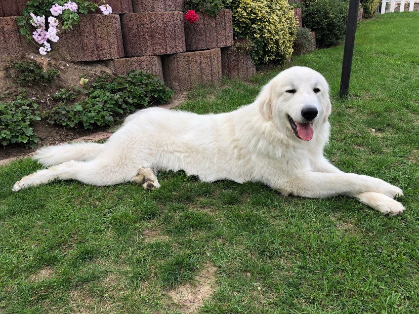 Ausruhen in meinem Garten