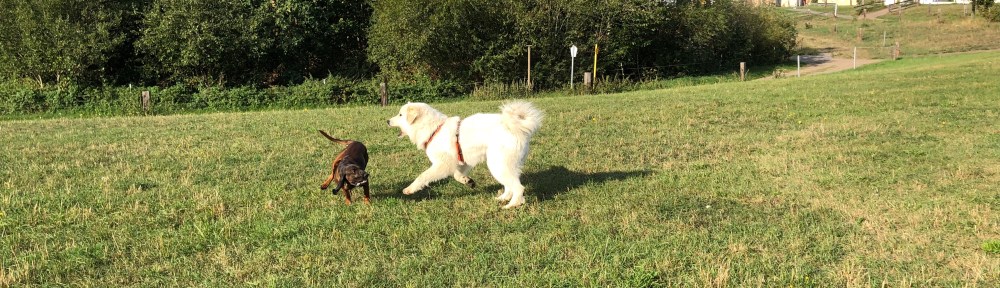 Die Bella und die Cora …