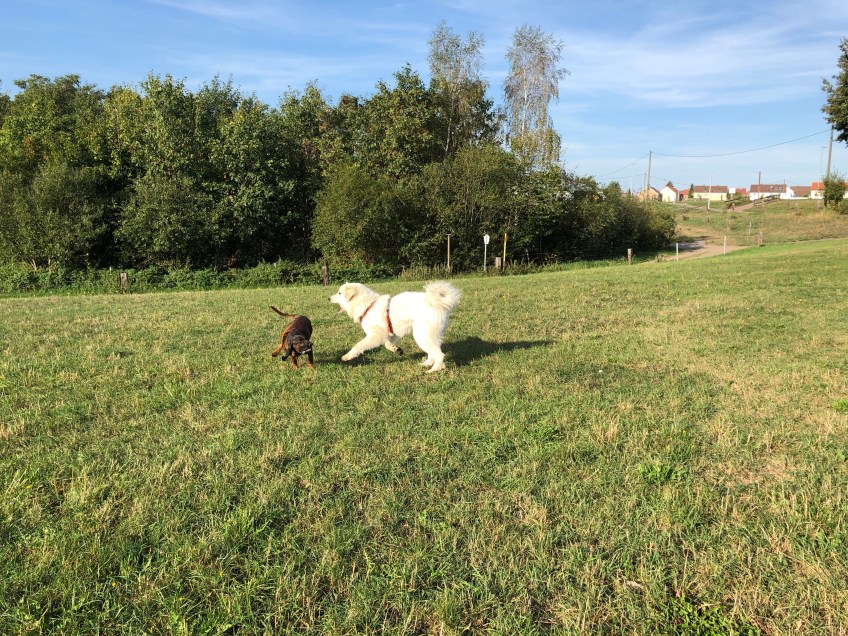 Die Bella und die Cora …