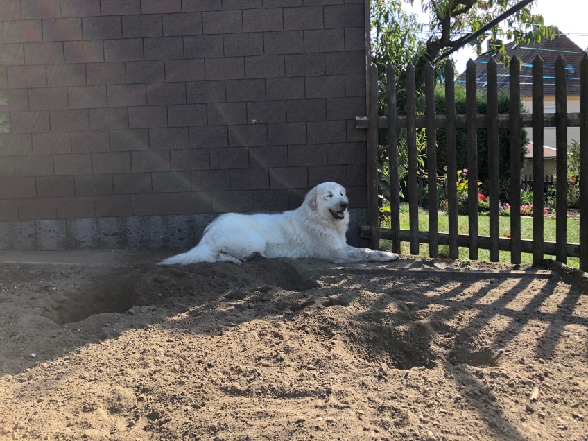 Und dann ruht sie sich aus