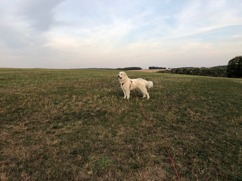 Abendspaziergang …