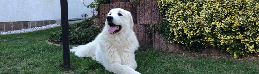 Gemütlich in meinem Garten