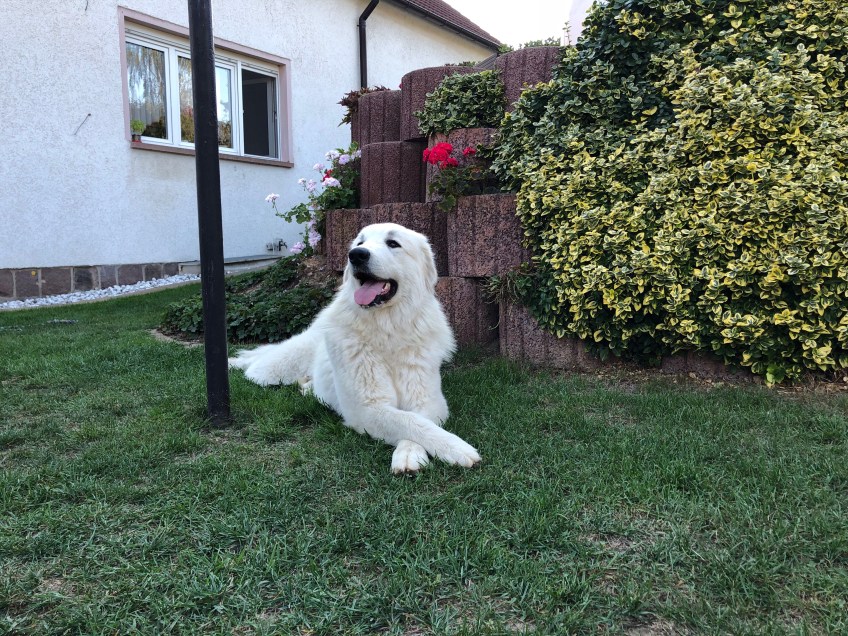 Gemütlich in meinem Garten