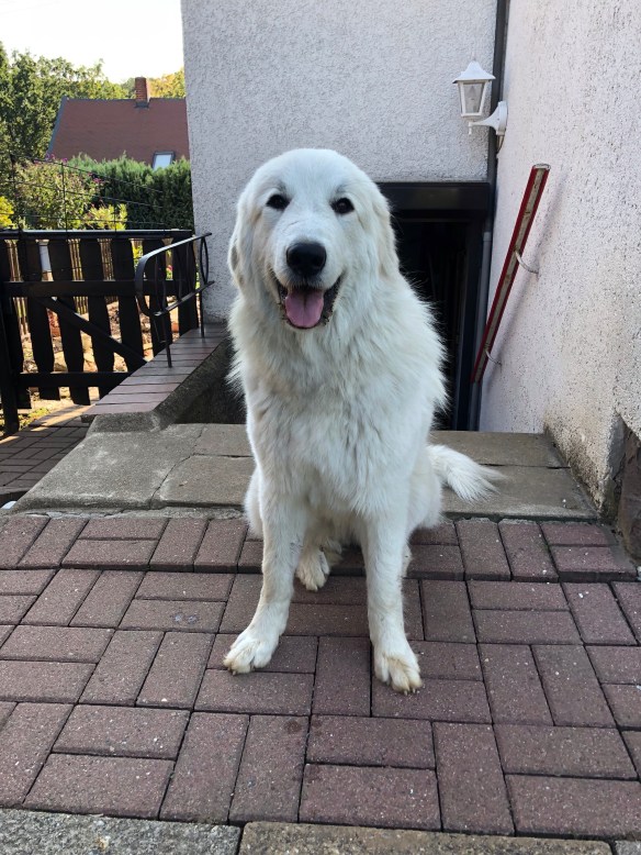 Das bin ich, die Bella