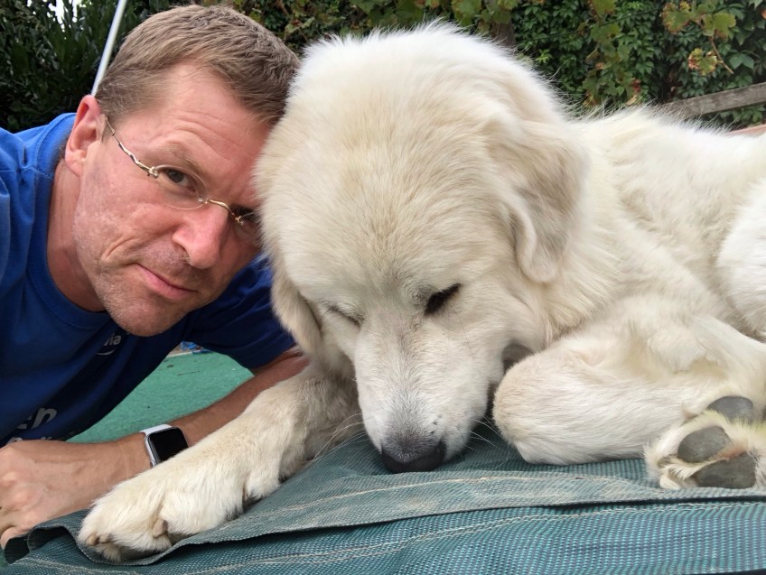 Die Zudecke für den Pool beschnuffeln