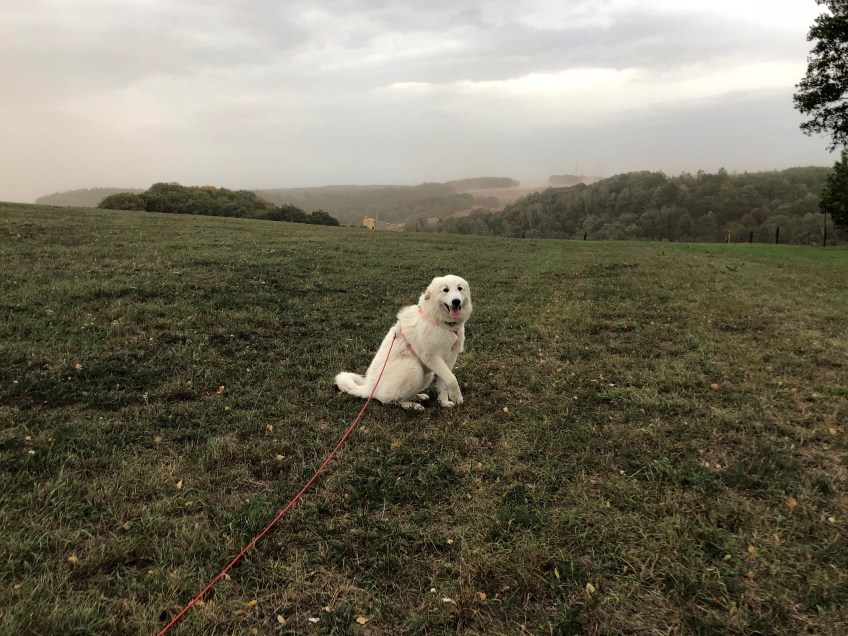 … war heute ganz viel Pustewind