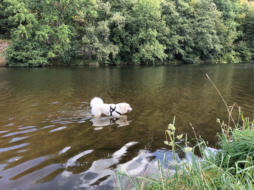 Die Bella geht baden …