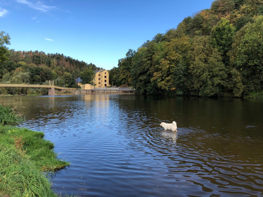 … im großen Fluß mit dem komischen Namen an der Wackelbrücke