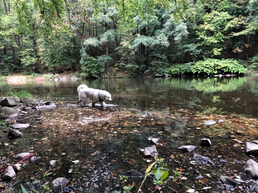 Die Bella geht nochmal baden
