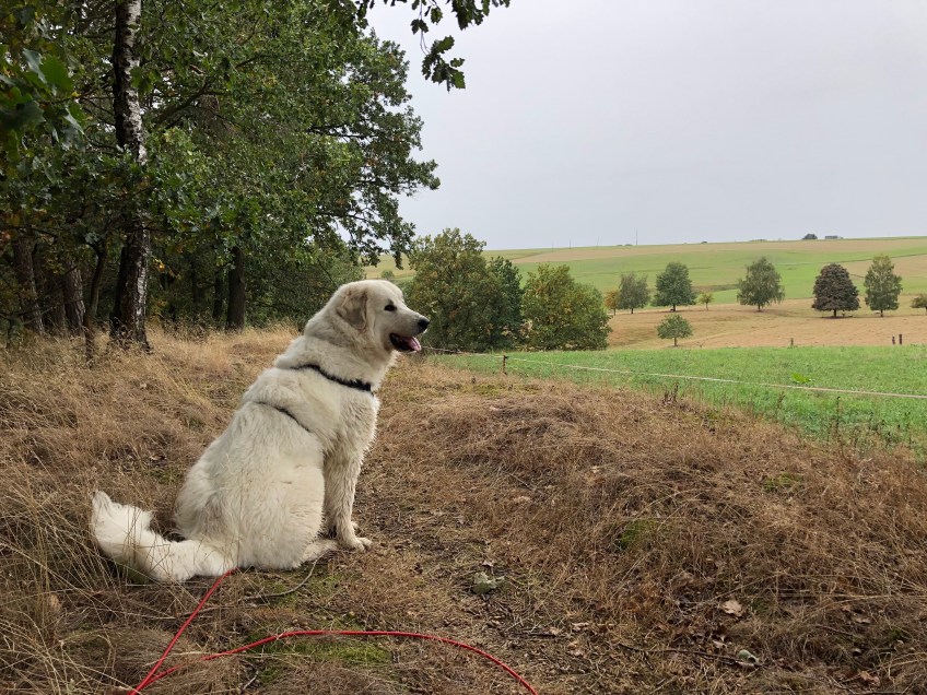 Pause am "Heiligen Holz"