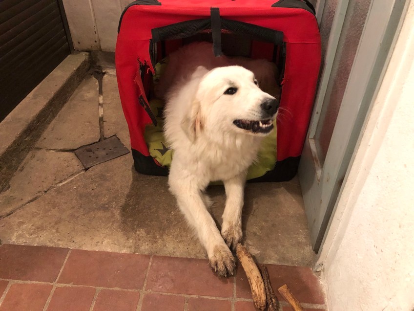 Erst knabbern, dann schlummern – Gute Nacht!