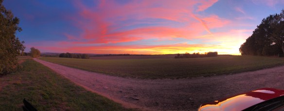 Sonnenuntergang am Hundeübungsplatz