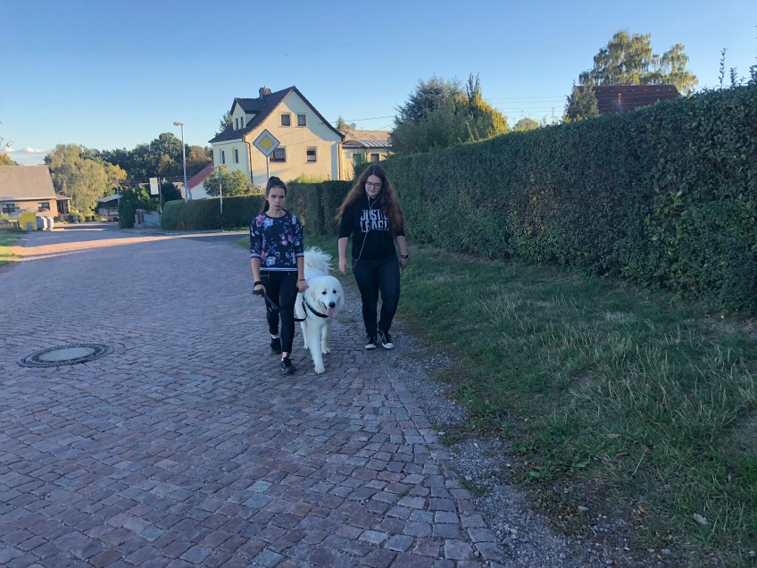 Abendspaziergang mit meinen Menschenschwestern