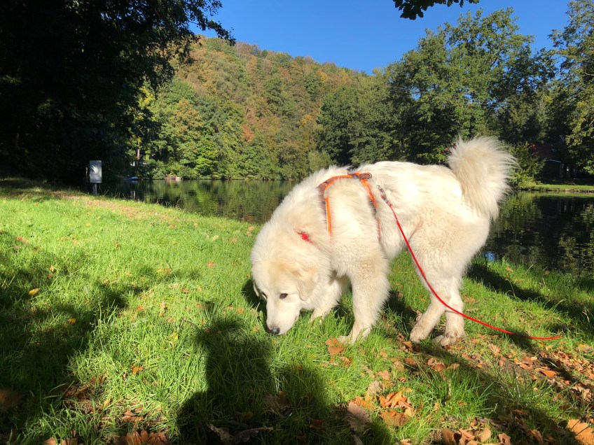 Am großen Fluß mit dem komischen Namen