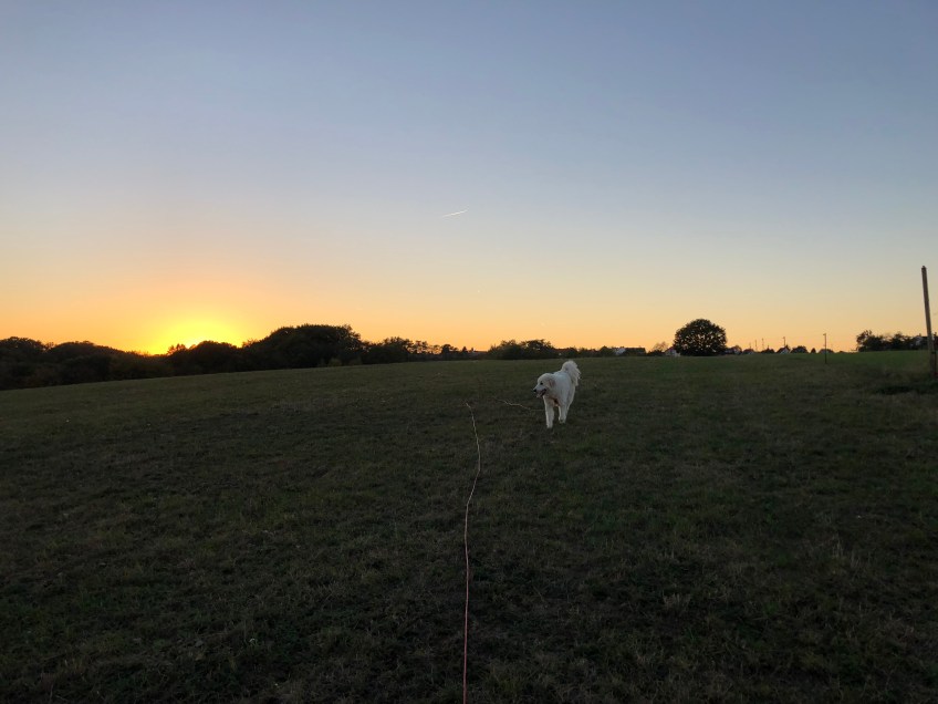 Abendspaziergang mit Sonnenuntergang