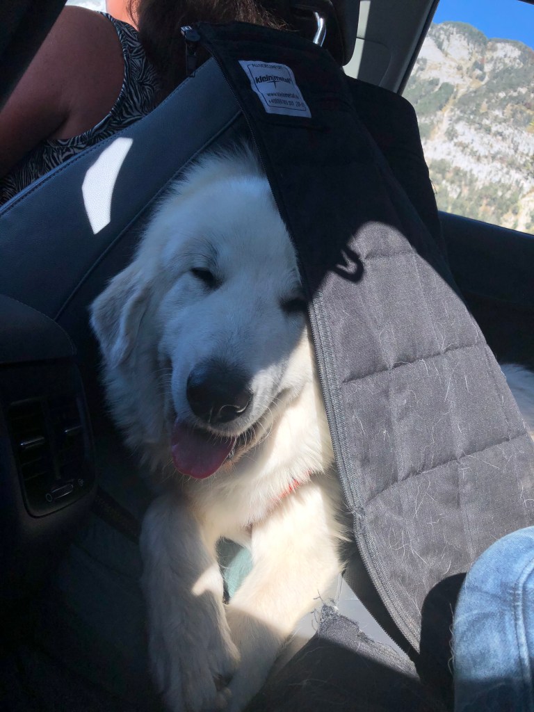 Die Bella hat ein cooles Zelt gebaut