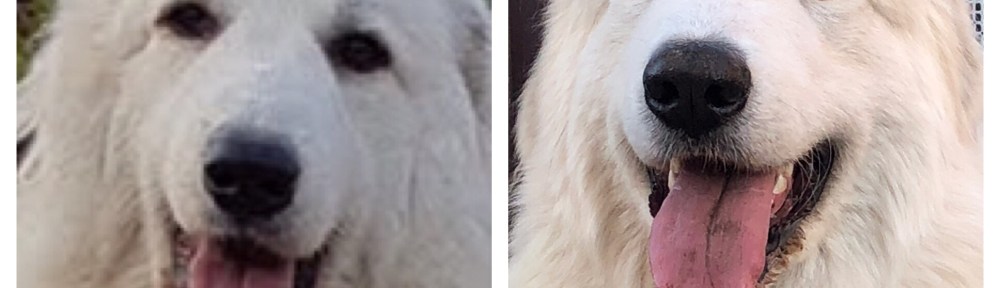 Meine Mami Ivy und ich, die Bella