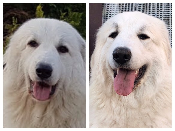 Meine Mami Ivy und ich, die Bella